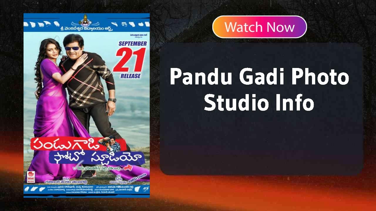 Pandu Gadi Photo Studio